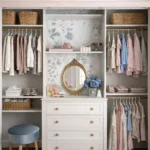 Innovative Closet Organization Ideas with Dresser for a Neat and Stylish Space